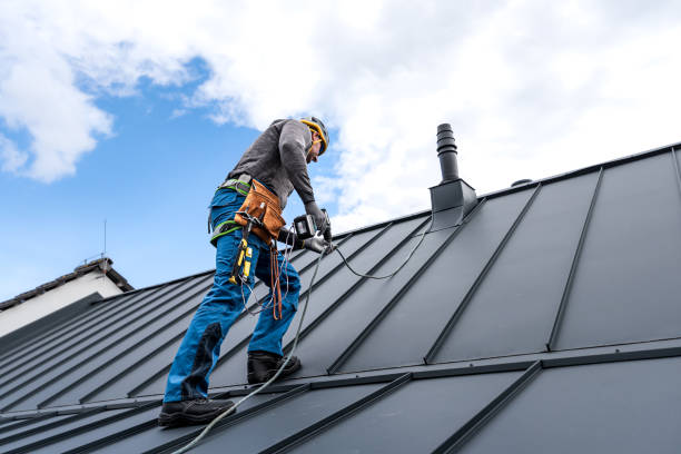 Best Roof Ventilation Installation  in Crookston, MN